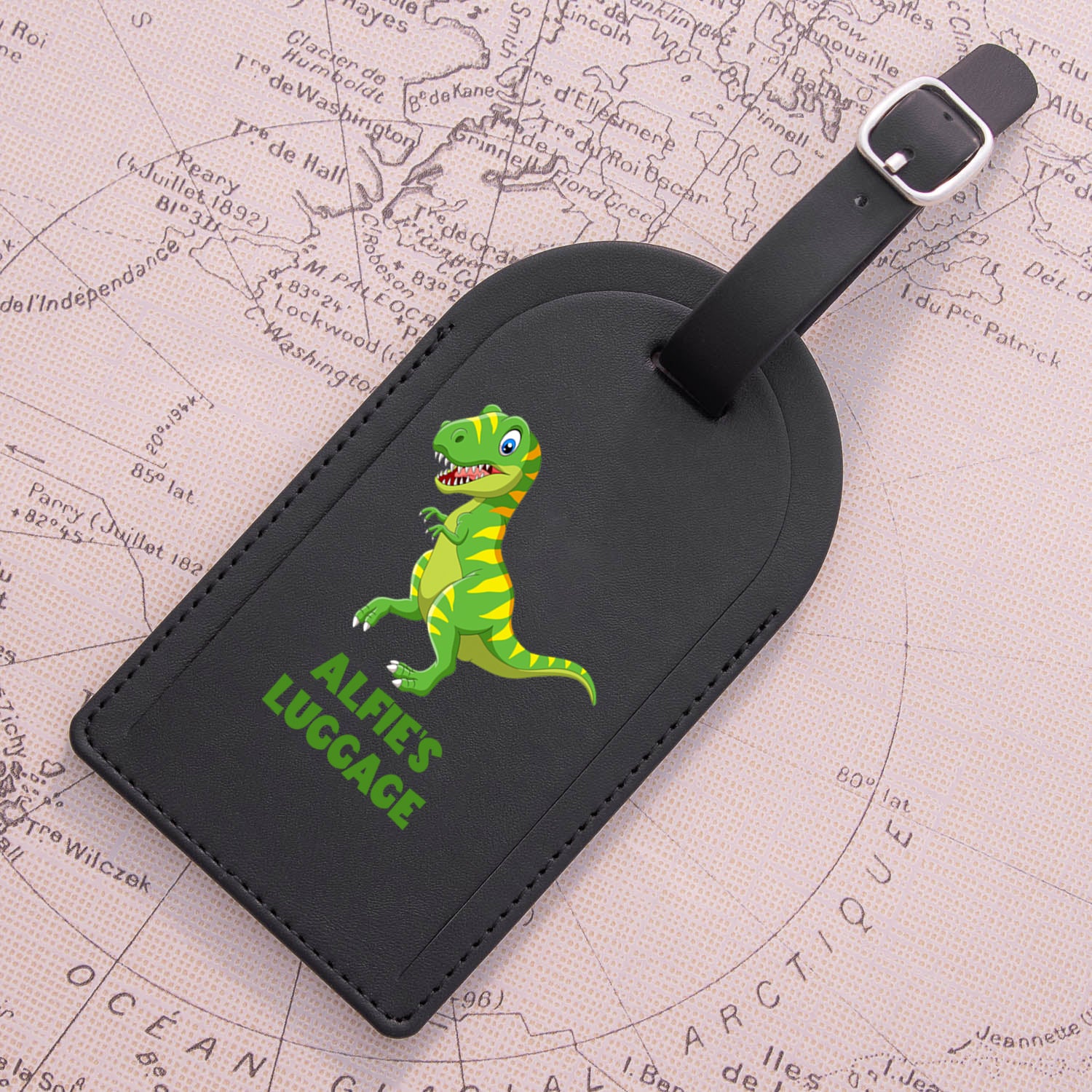 Personalised Dinosaur Passport Holder Luggage Tag Set Spoken Gifts LTD